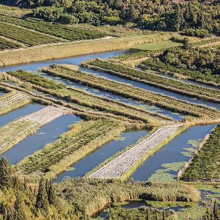 Daire Gorgeous In With Wifi Opuzen (Dubrovnik-Neretva)