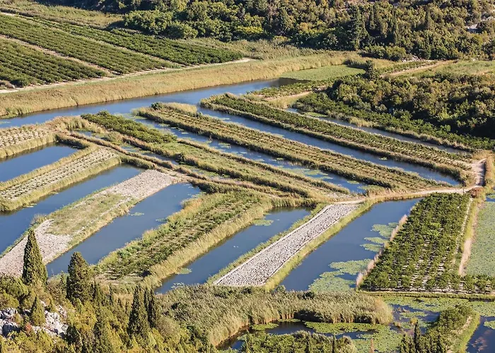 아파트 Gorgeous In With Wifi Opuzen (Dubrovnik-Neretva)