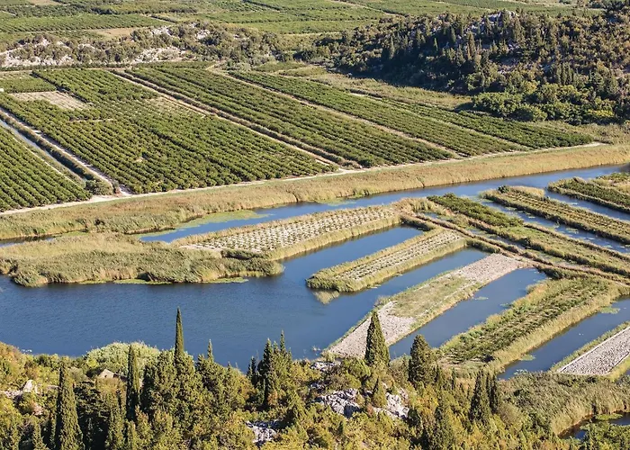 Gorgeous In With Wifi 아파트